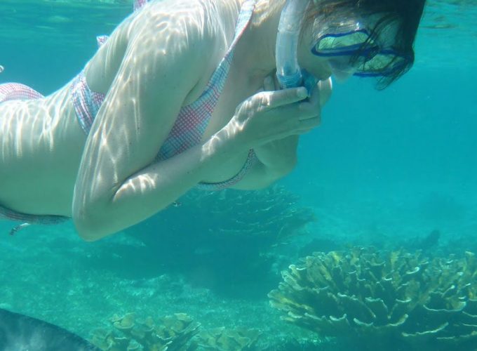 Snorkelling-at-Ras-Mohammed